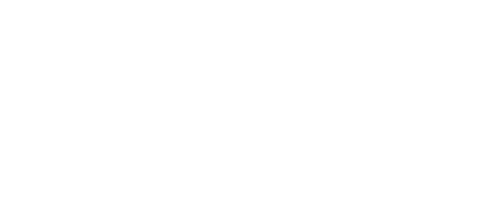 NeuroStar logo