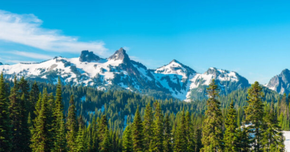 Snow-covered mountain range with evergreen trees under a clear blue sky