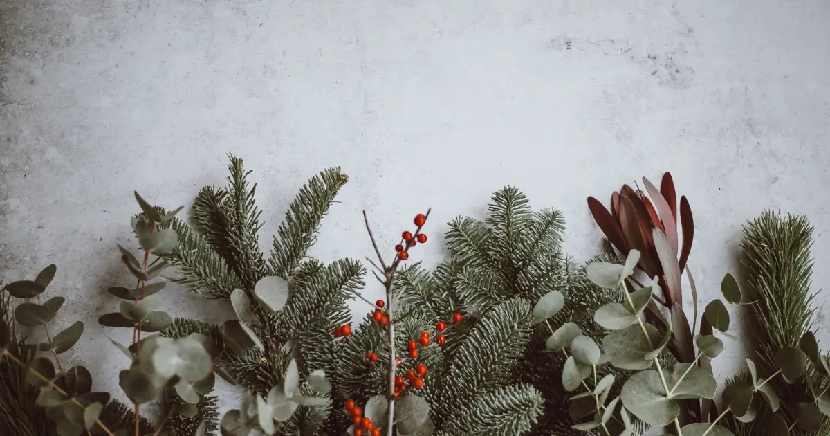 Tips to Relieve Holiday Stress